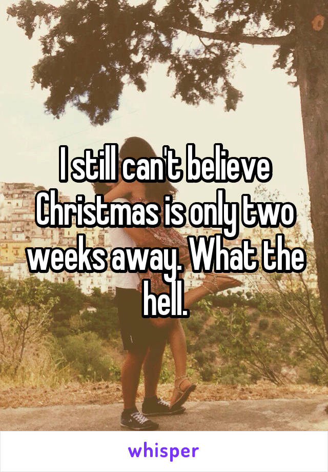 I still can't believe Christmas is only two weeks away. What the hell.