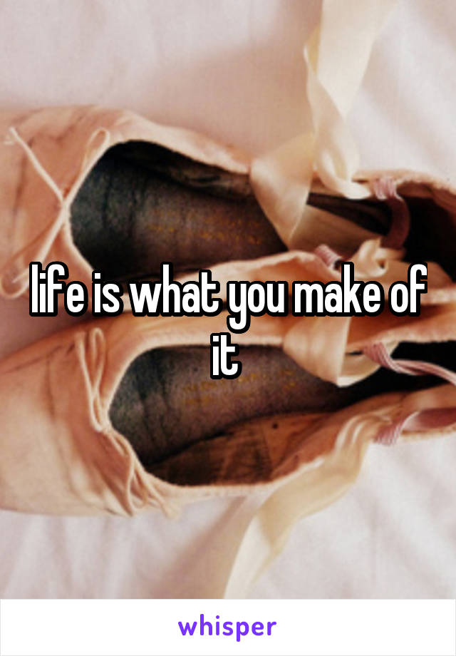 life is what you make of it 