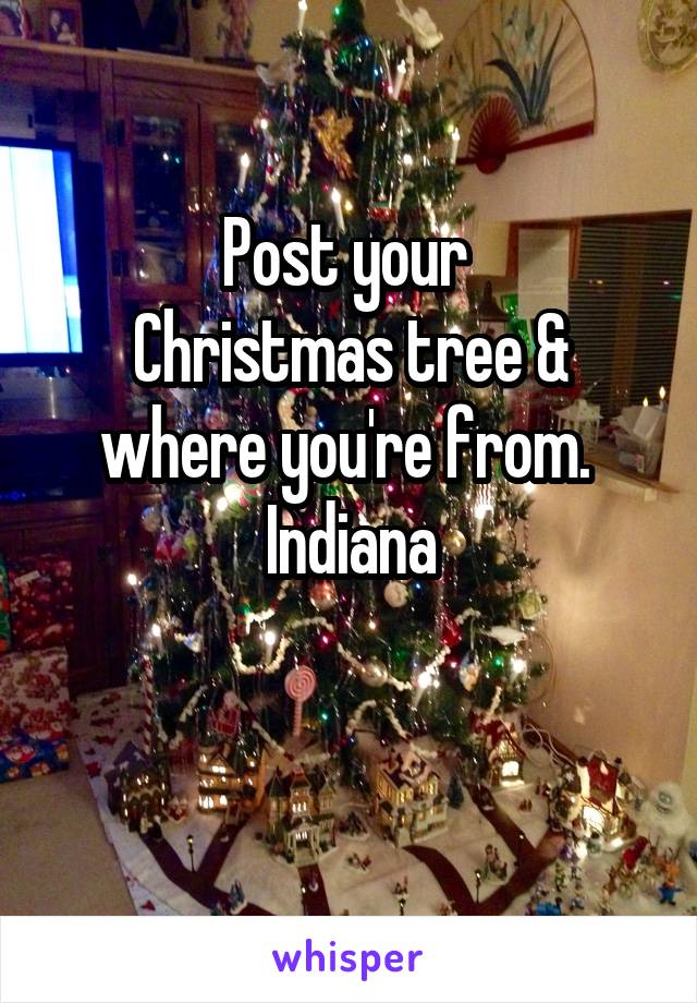 Post your 
Christmas tree & where you're from. 
Indiana

