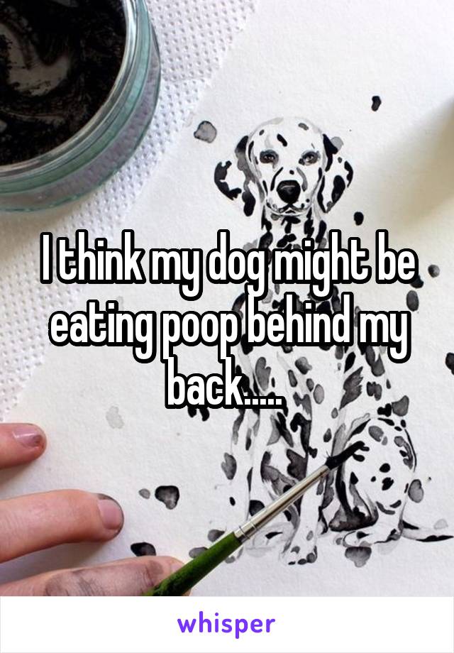 I think my dog might be eating poop behind my back..... 