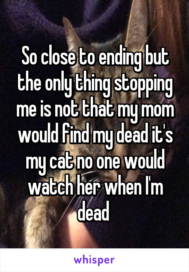 So close to ending but the only thing stopping me is not that my mom would find my dead it's my cat no one would watch her when I'm dead 