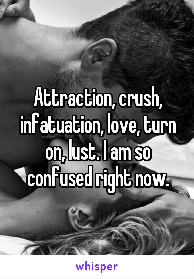 Attraction, crush, infatuation, love, turn on, lust. I am so confused right now.