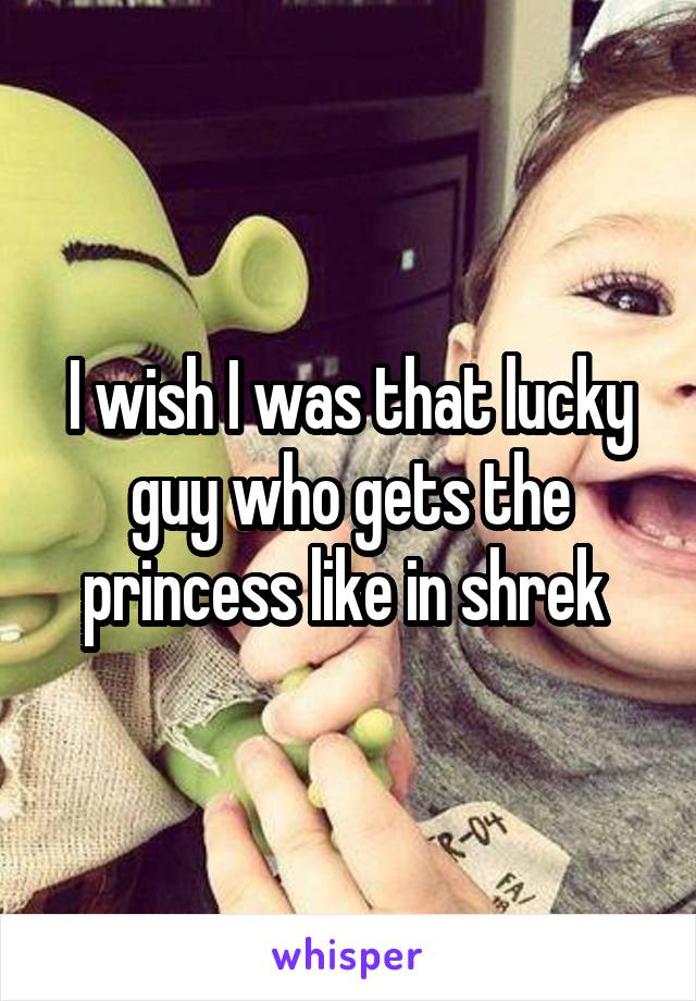 I wish I was that lucky guy who gets the princess like in shrek 