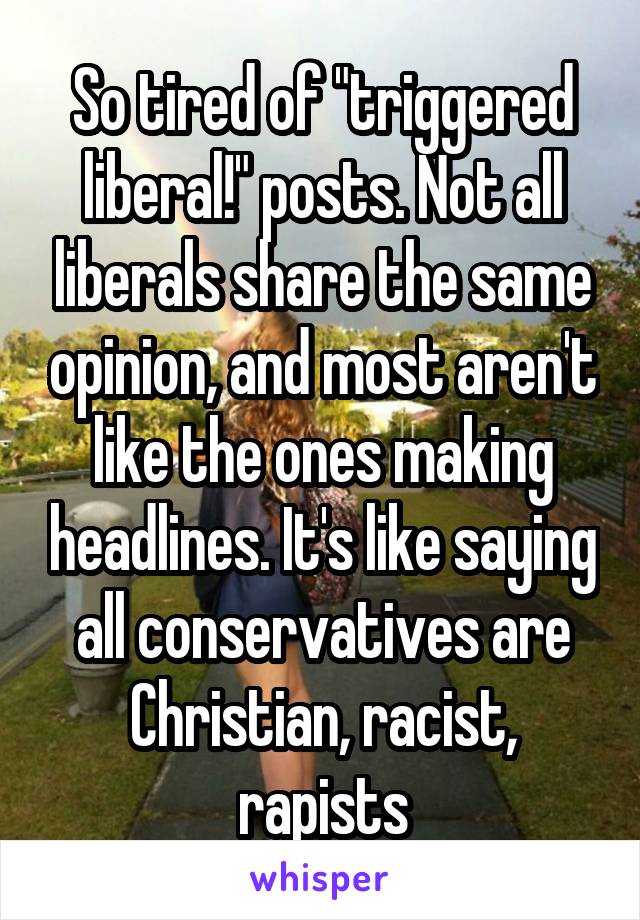 So tired of "triggered liberal!" posts. Not all liberals share the same opinion, and most aren't like the ones making headlines. It's like saying all conservatives are Christian, racist, rapists