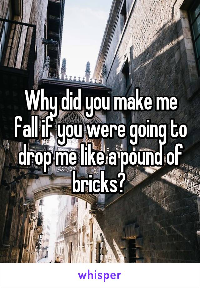 Why did you make me fall if you were going to drop me like a pound of bricks? 