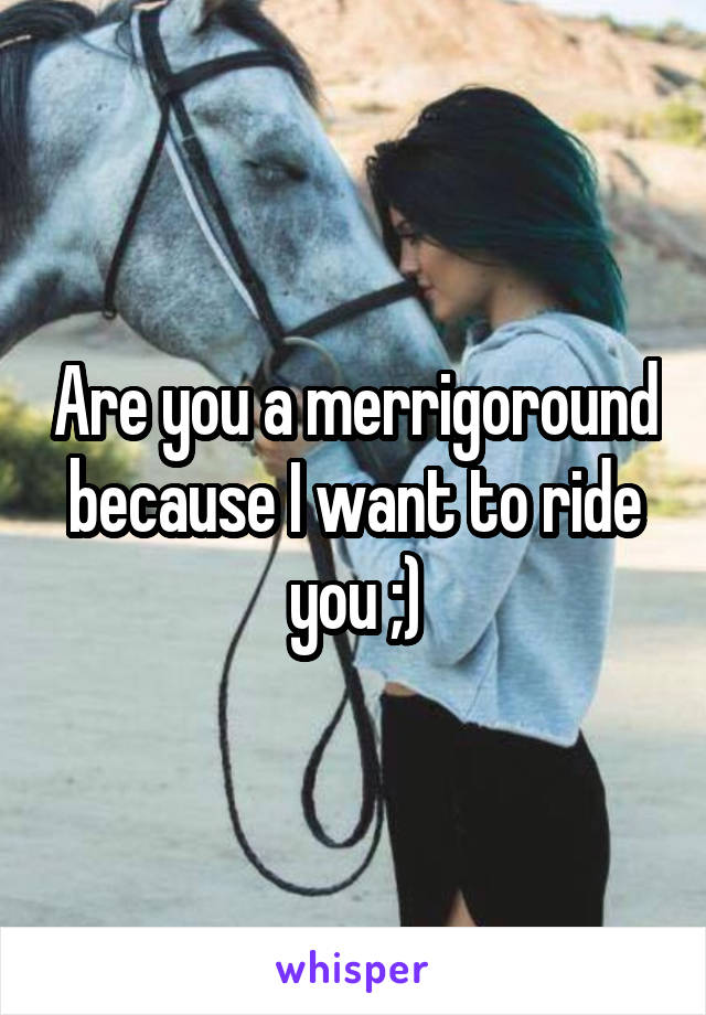 Are you a merrigoround because I want to ride you ;)