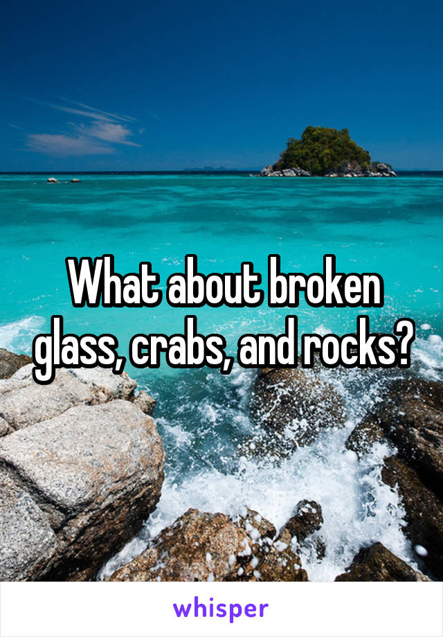 What about broken glass, crabs, and rocks?