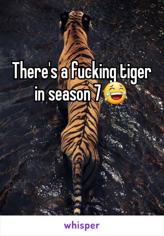 There's a fucking tiger in season 7😂