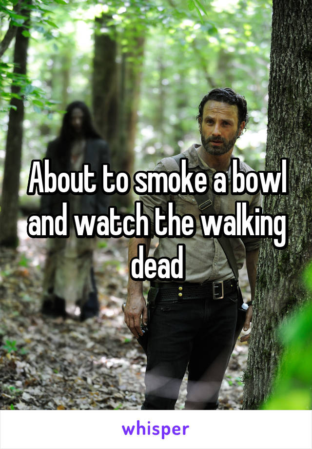 About to smoke a bowl and watch the walking dead