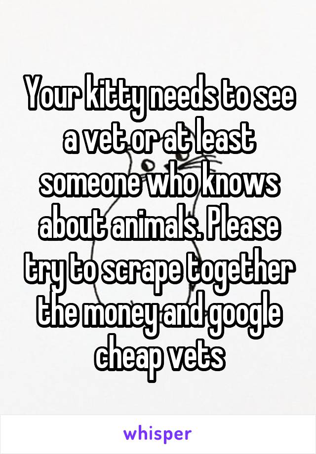 Your kitty needs to see a vet or at least someone who knows about animals. Please try to scrape together the money and google cheap vets