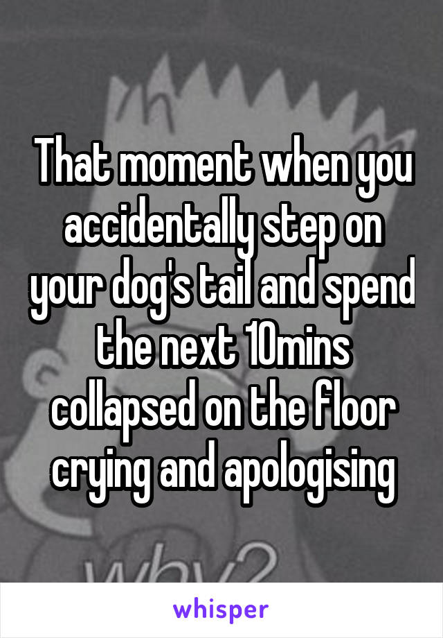 That moment when you accidentally step on your dog's tail and spend the next 10mins collapsed on the floor crying and apologising