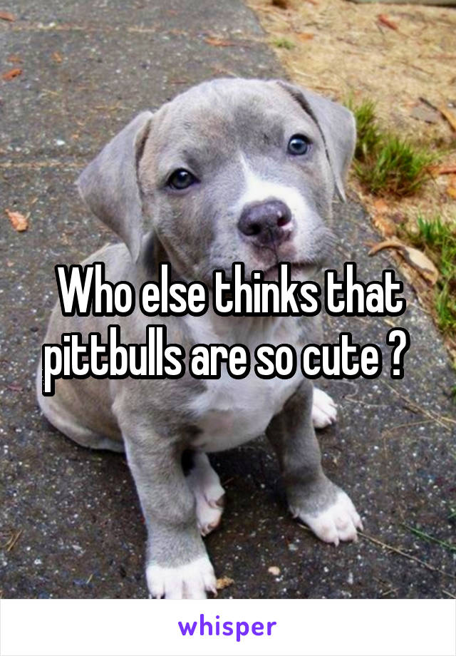 Who else thinks that pittbulls are so cute ? 