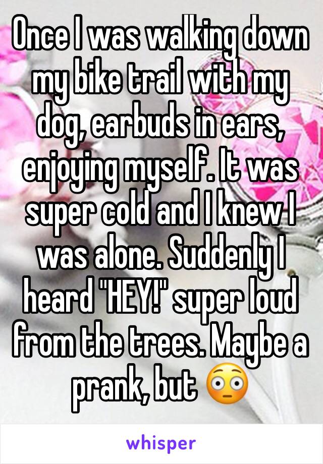 Once I was walking down my bike trail with my dog, earbuds in ears, enjoying myself. It was super cold and I knew I was alone. Suddenly I heard "HEY!" super loud from the trees. Maybe a prank, but 😳