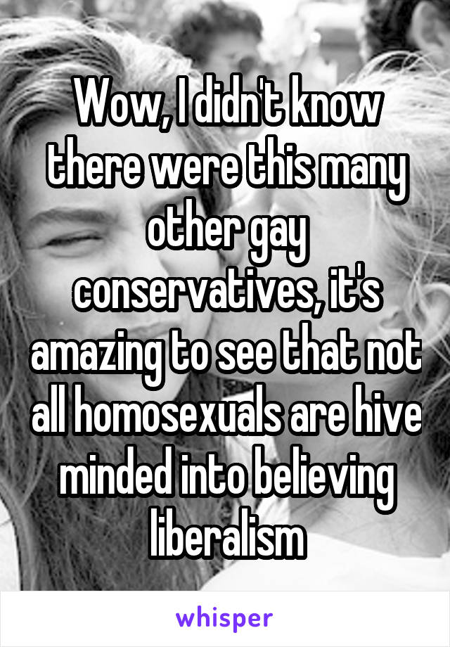 Wow, I didn't know there were this many other gay conservatives, it's amazing to see that not all homosexuals are hive minded into believing liberalism