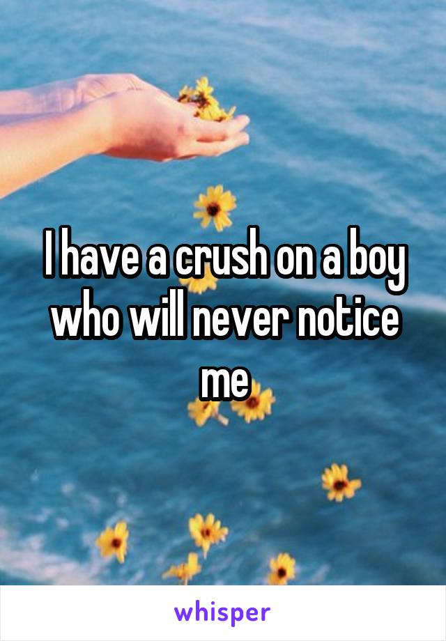 I have a crush on a boy who will never notice me