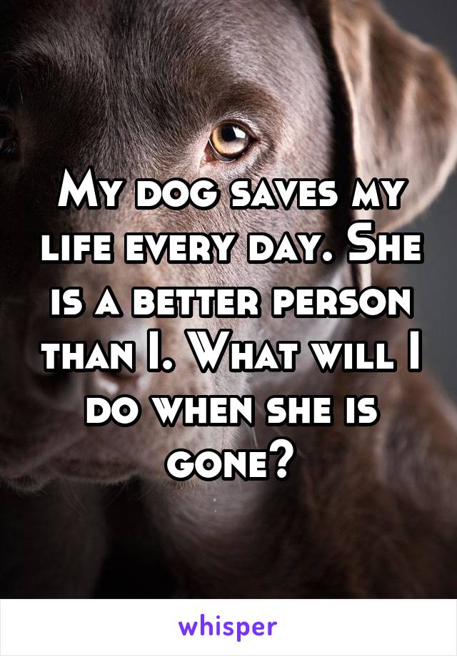 My dog saves my life every day. She is a better person than I. What will I do when she is gone?