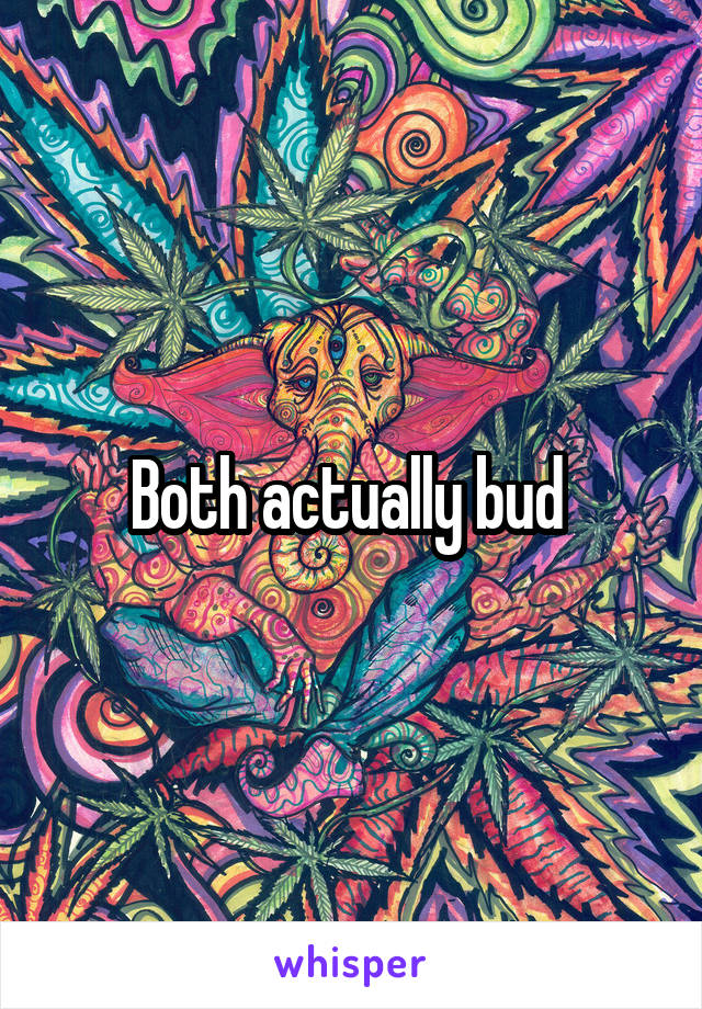 Both actually bud 