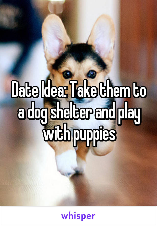 Date Idea: Take them to a dog shelter and play with puppies