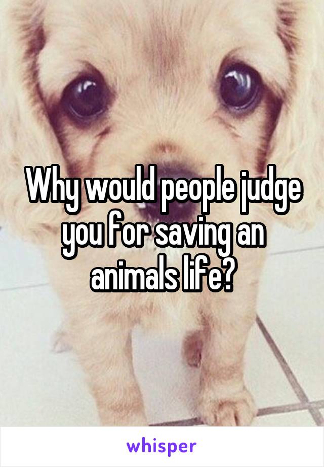 Why would people judge you for saving an animals life?