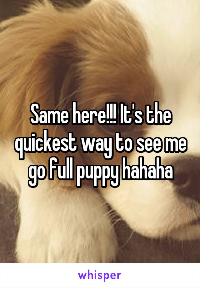 Same here!!! It's the quickest way to see me go full puppy hahaha