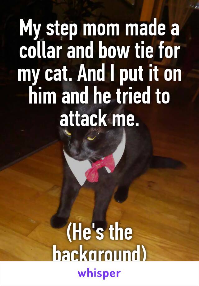 My step mom made a collar and bow tie for my cat. And I put it on him and he tried to attack me.




(He's the background)