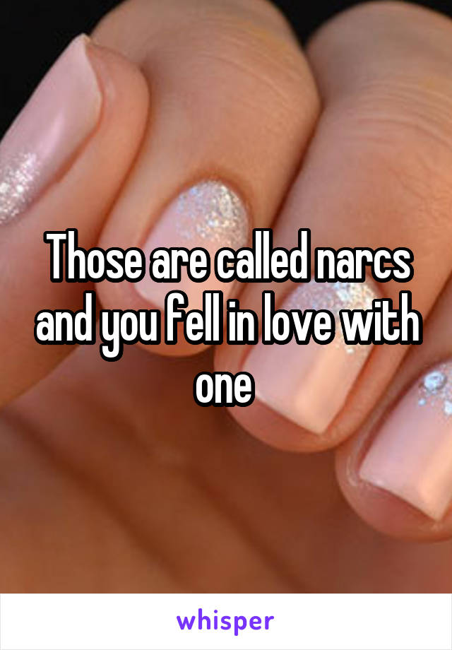 Those are called narcs and you fell in love with one 