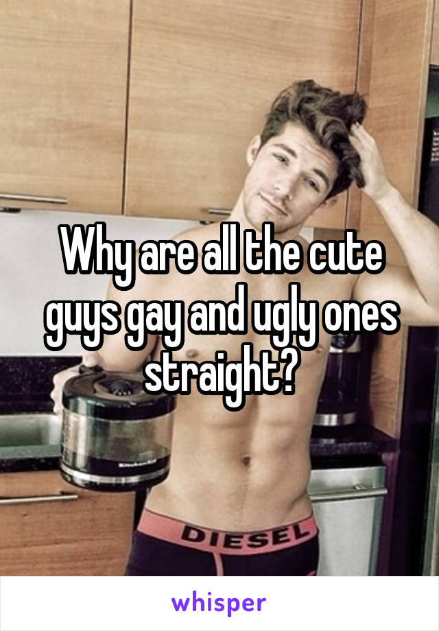 Why are all the cute guys gay and ugly ones straight?