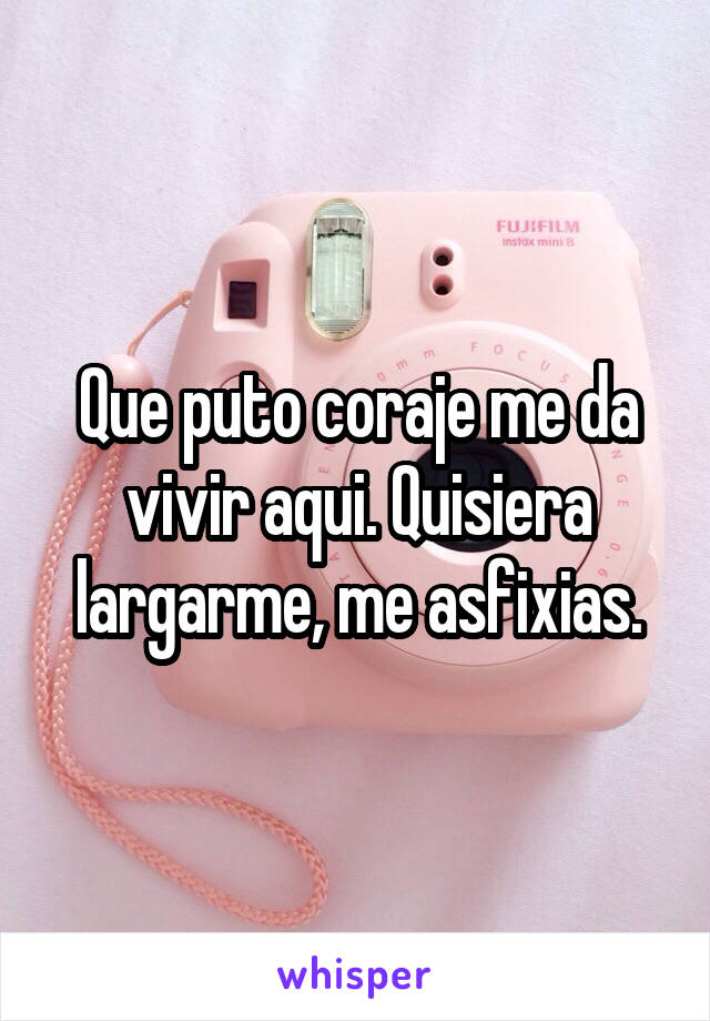 Que puto coraje me da vivir aqui. Quisiera largarme, me asfixias.