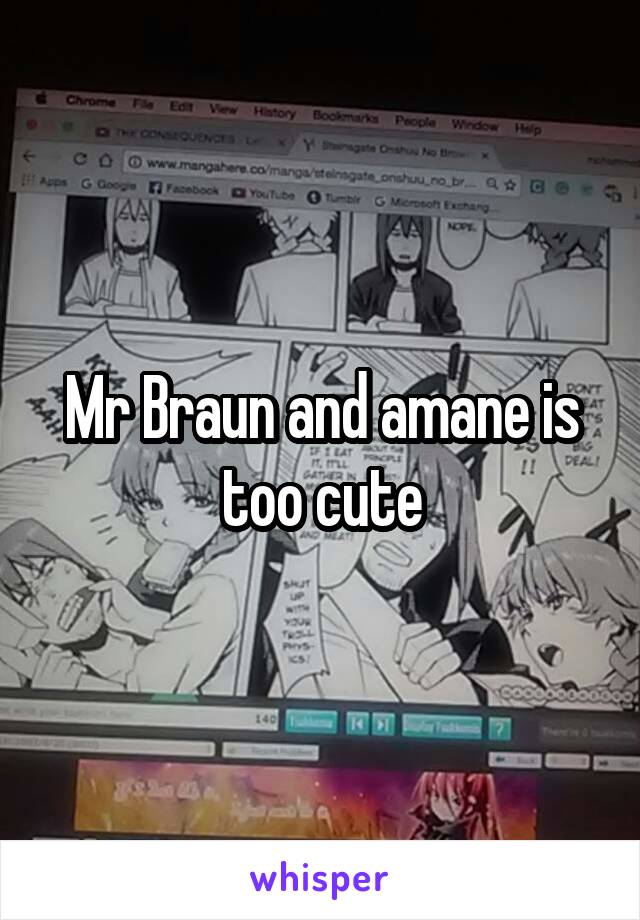 Mr Braun and amane is too cute