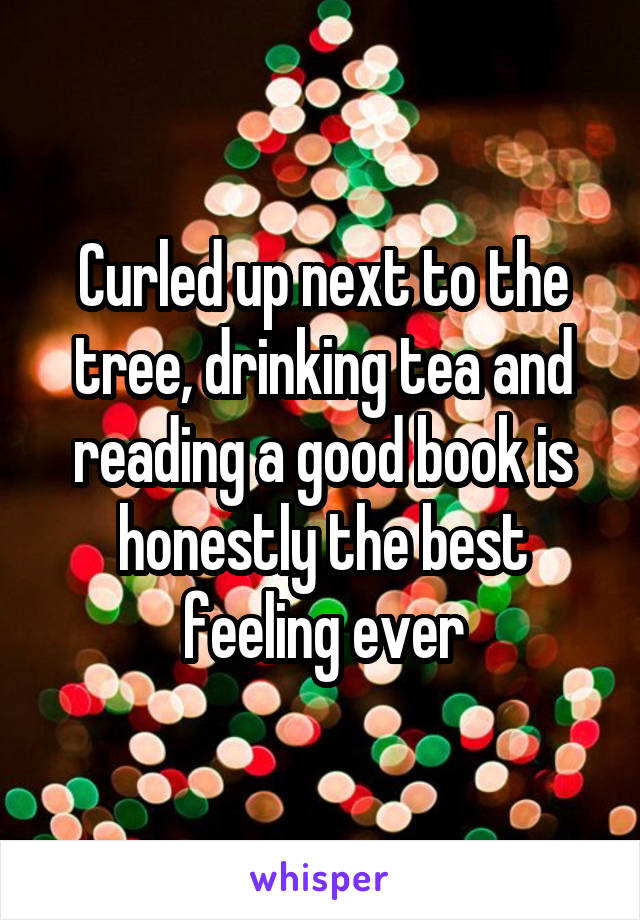 Curled up next to the tree, drinking tea and reading a good book is honestly the best feeling ever