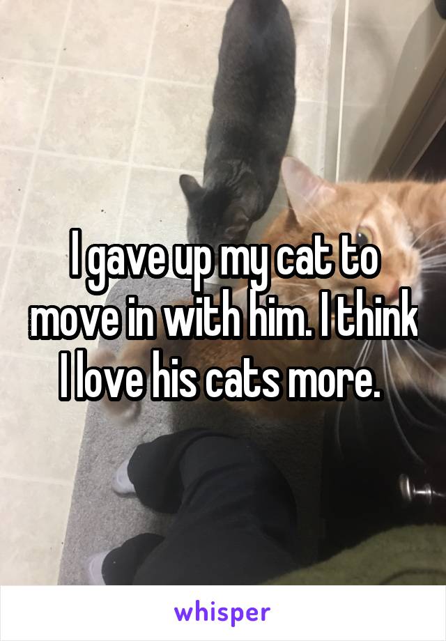 I gave up my cat to move in with him. I think I love his cats more. 