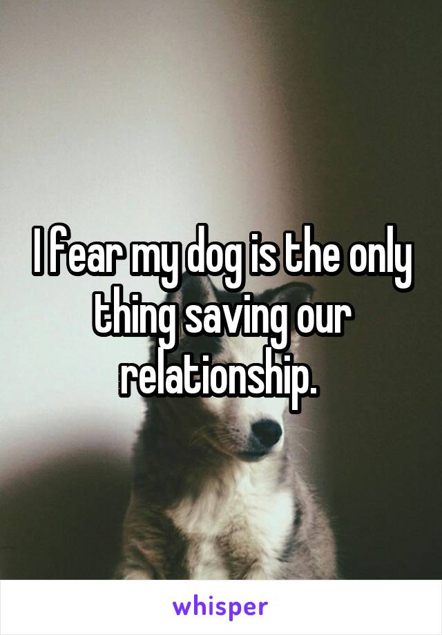 I fear my dog is the only thing saving our relationship. 