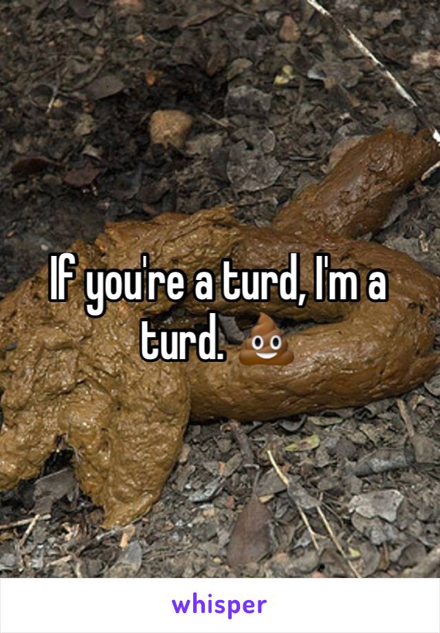 If you're a turd, I'm a turd. 💩