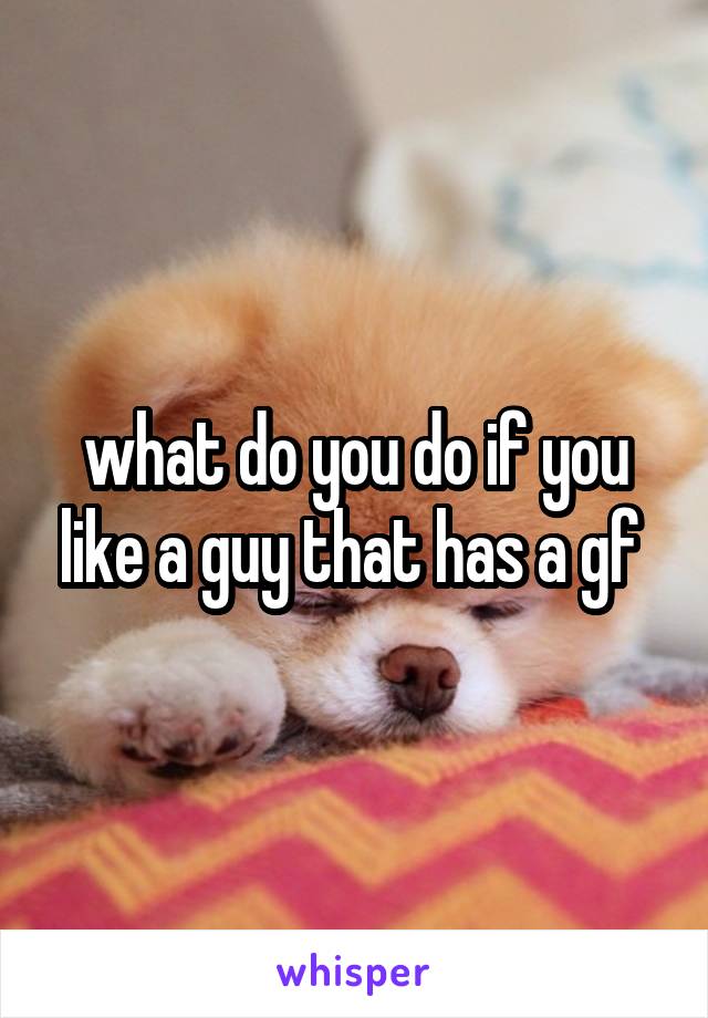 what do you do if you like a guy that has a gf 