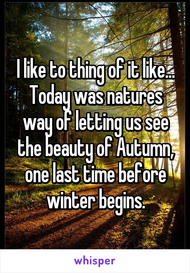 I like to thing of it like...
Today was natures way of letting us see the beauty of Autumn, one last time before winter begins.