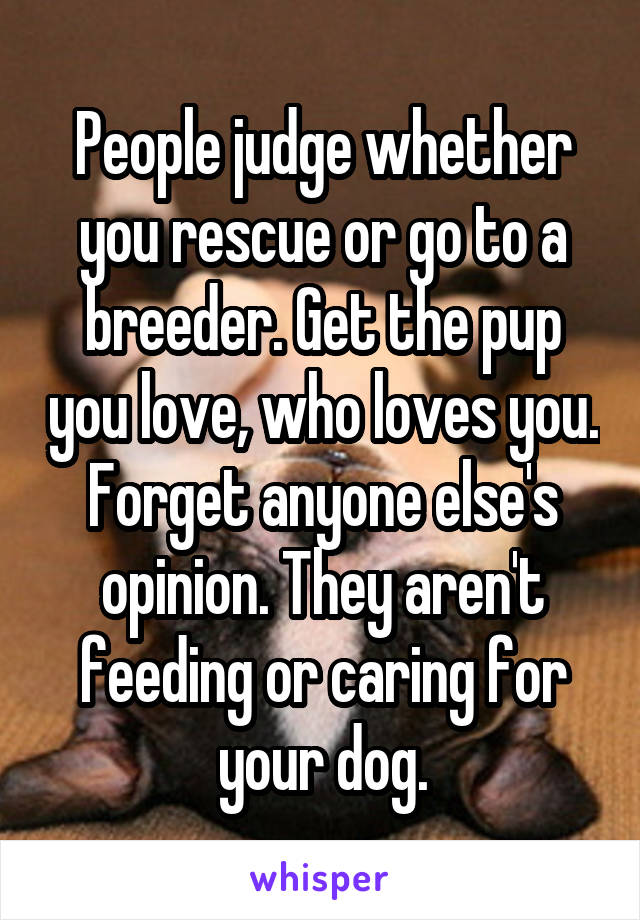 People judge whether you rescue or go to a breeder. Get the pup you love, who loves you. Forget anyone else's opinion. They aren't feeding or caring for your dog.