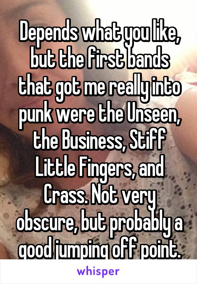 Depends what you like, but the first bands that got me really into punk were the Unseen, the Business, Stiff Little Fingers, and Crass. Not very obscure, but probably a good jumping off point.