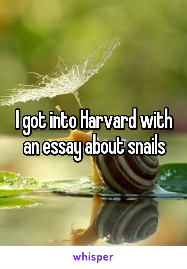 I got into Harvard with an essay about snails