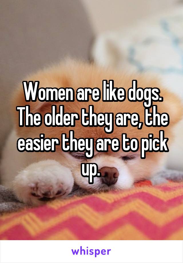 Women are like dogs. The older they are, the easier they are to pick up. 