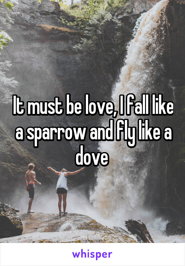 It must be love, I fall like a sparrow and fly like a dove 