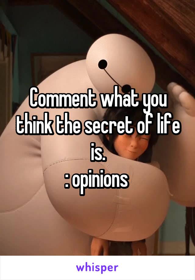 Comment what you think the secret of life is.
: opinions 