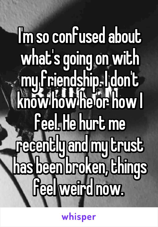 I'm so confused about what's going on with my friendship. I don't know how he or how I feel. He hurt me recently and my trust has been broken, things feel weird now. 