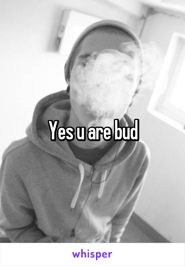 Yes u are bud