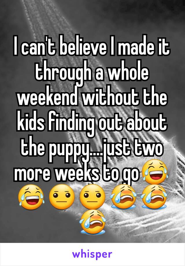 I can't believe I made it through a whole weekend without the kids finding out about the puppy....just two more weeks to go😂😂😐😐😭😭😭