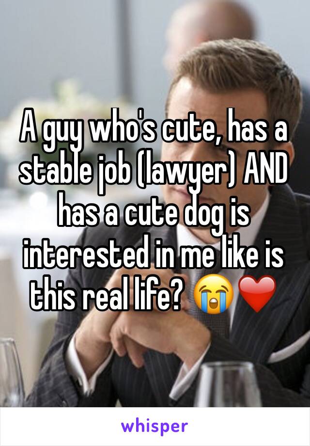 A guy who's cute, has a stable job (lawyer) AND has a cute dog is interested in me like is this real life? 😭❤️