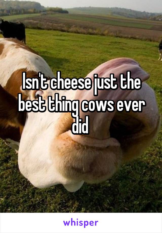 Isn't cheese just the best thing cows ever did 
