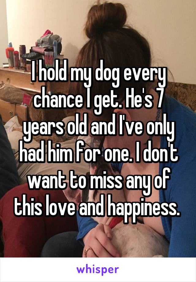 I hold my dog every chance I get. He's 7 years old and I've only had him for one. I don't want to miss any of this love and happiness. 