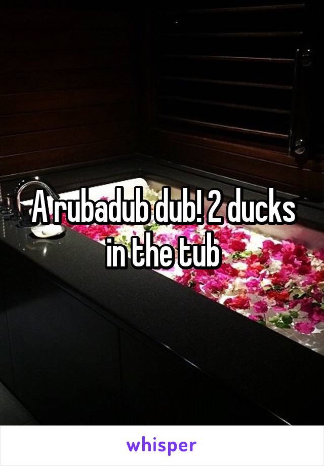 A rubadub dub! 2 ducks in the tub