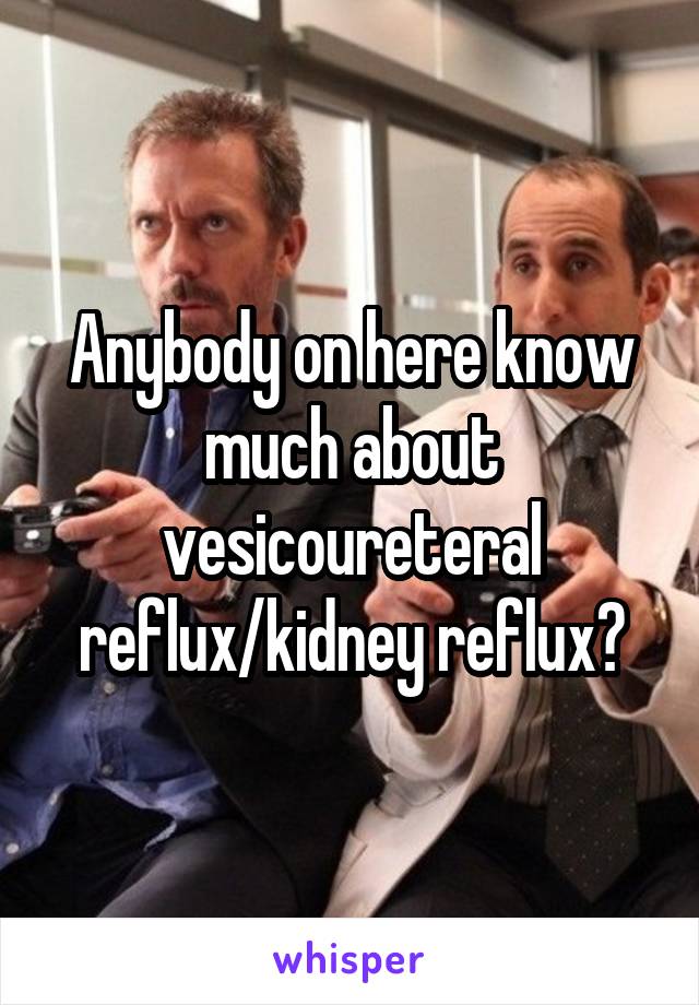 Anybody on here know much about vesicoureteral reflux/kidney reflux?