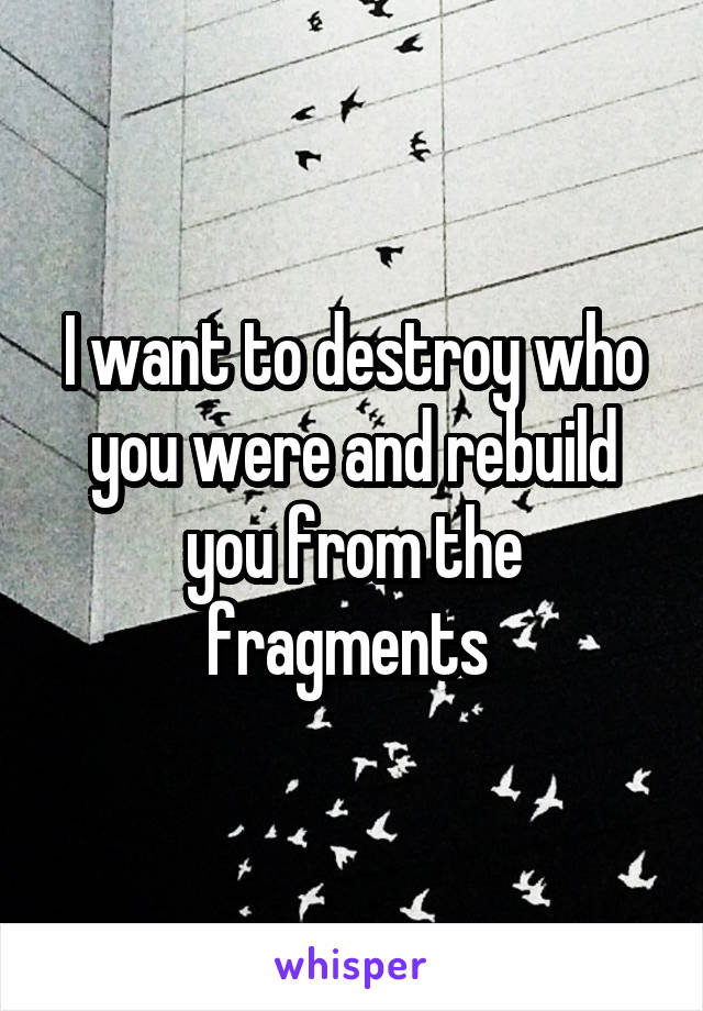 I want to destroy who you were and rebuild you from the fragments 